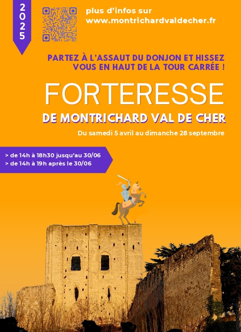 FORTERESSE DE MONTRICHARD VAL DE CHER